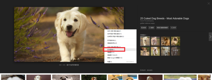 雖然Google移除了「圖片」按鈕，但右按「另存圖檔」亦能下載圖片。
