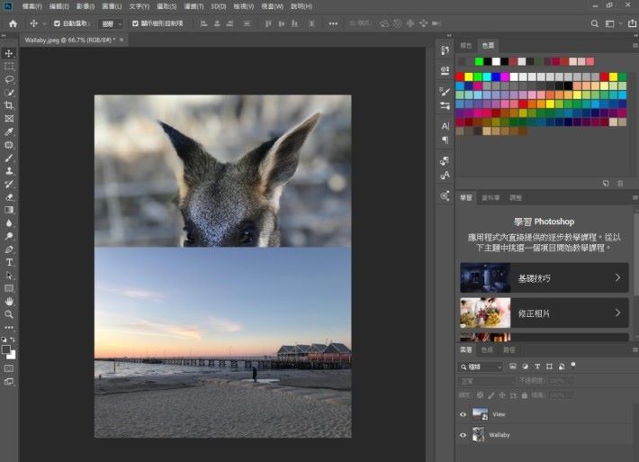 在 Photoshop CC 中開啟名為 Wallaby 的圖片（或自己準備的主體照片），將名為 View 的圖片（或自己準備的景色照片）拖拽至 Wallaby 圖片上。