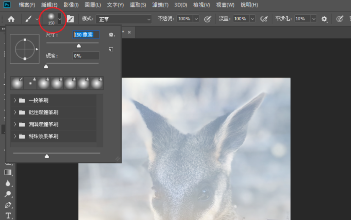 調整筆刷的尺寸（Size）至 150 像素，隨心使 Wallaby 圖層露出更多細節。