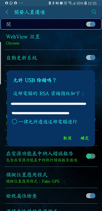 同意 USB 除錯