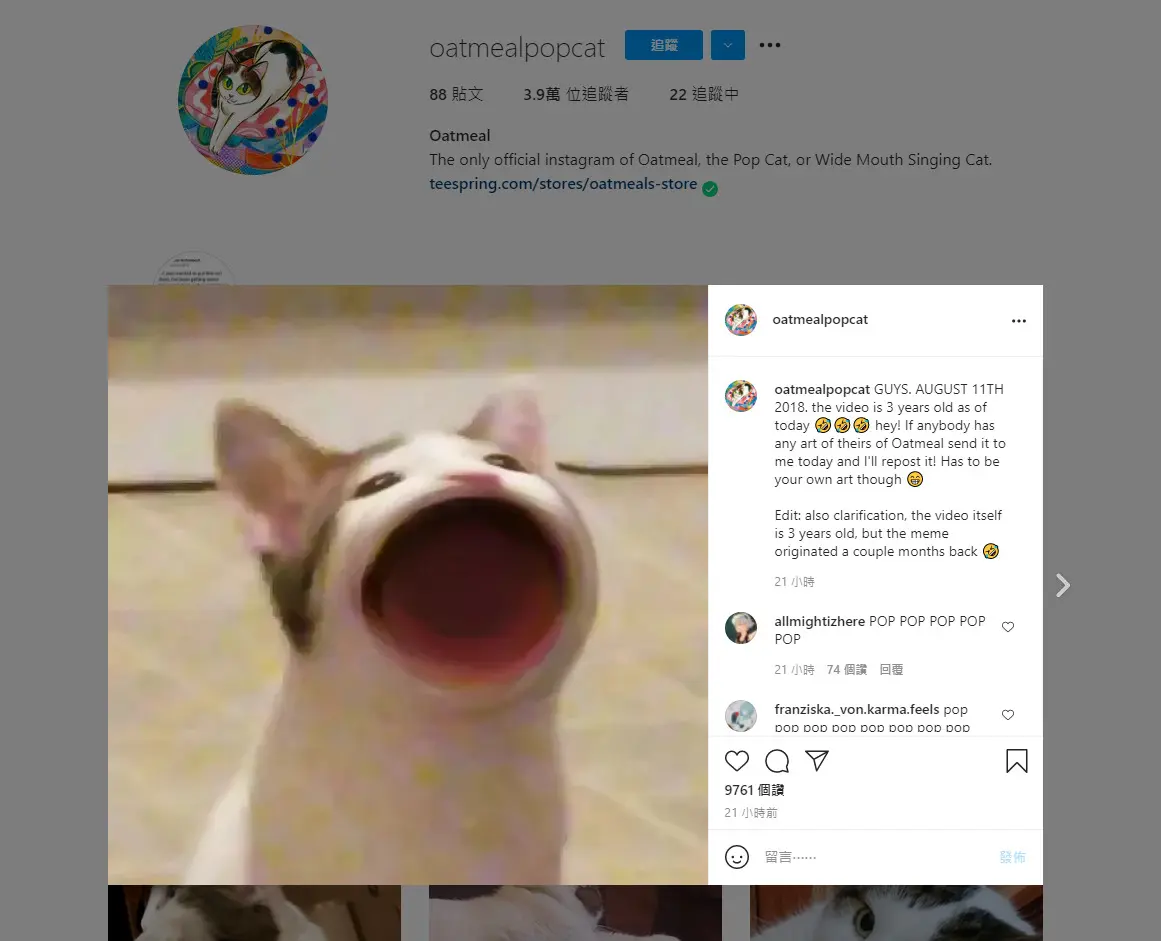 瘋狂點擊爭第一！可愛Pop Cat 比賽- PCM