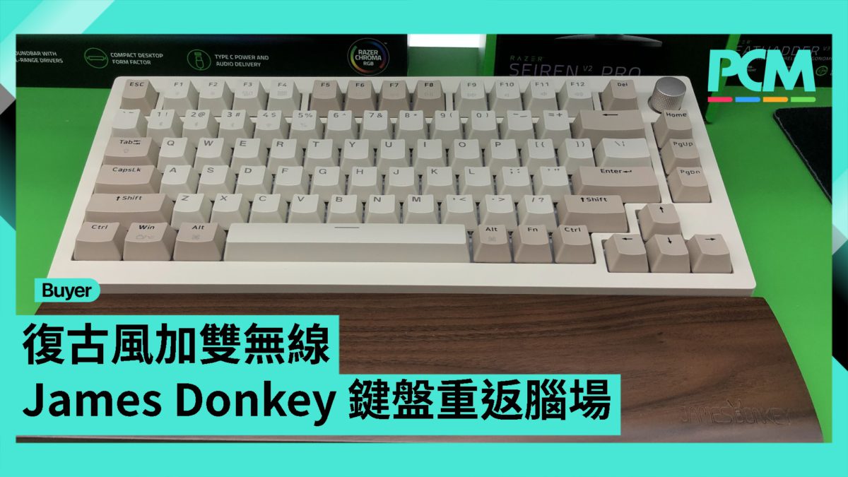 美品　JAMES DONKEY 008 S5.4b_010-