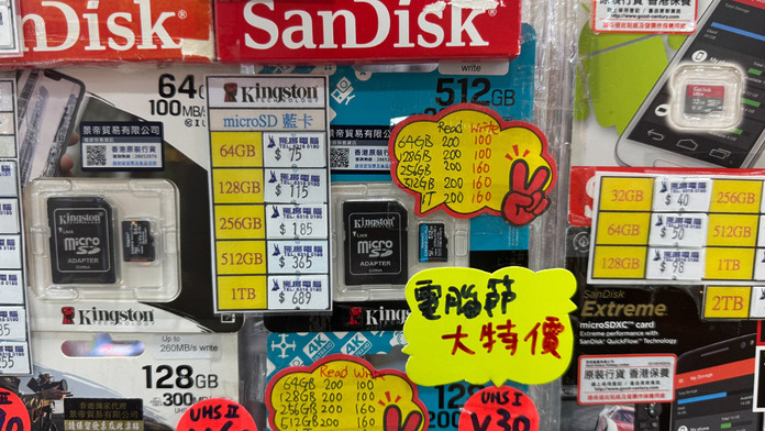 Kingston Canvas Go plus