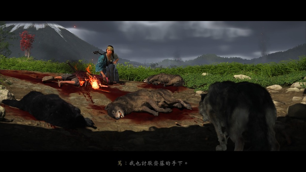 野狼可以成為伙伴
