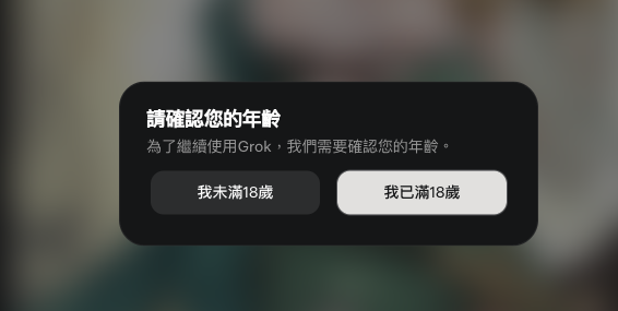 如果是在自己上傳的日圖像選擇 Spicy,會彈出對話窗口確認用戶年滿 18 歲。