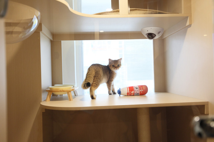 TP-Link VIGI cat hotel 01 TP-Link VIGI