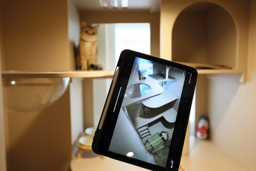 酒店會為每位貓主提供獨立的登入資料,退房後即會更新帳戶,以確定下位主客可以安心入住。