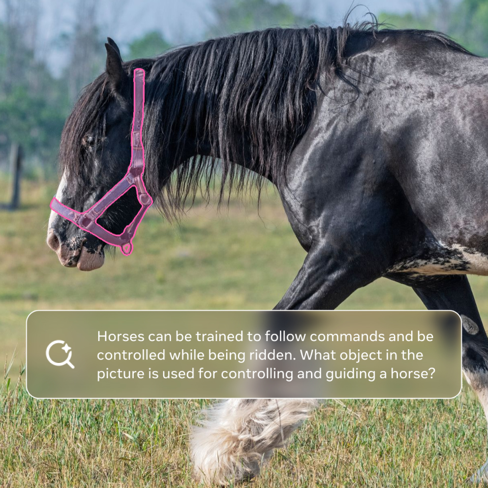 SAM 3 將語言與圖像或影中的特定視覺元素連結起來，配合多模態大型語言模型，能更抽象地抽取物件進行分析、追蹤及處理。