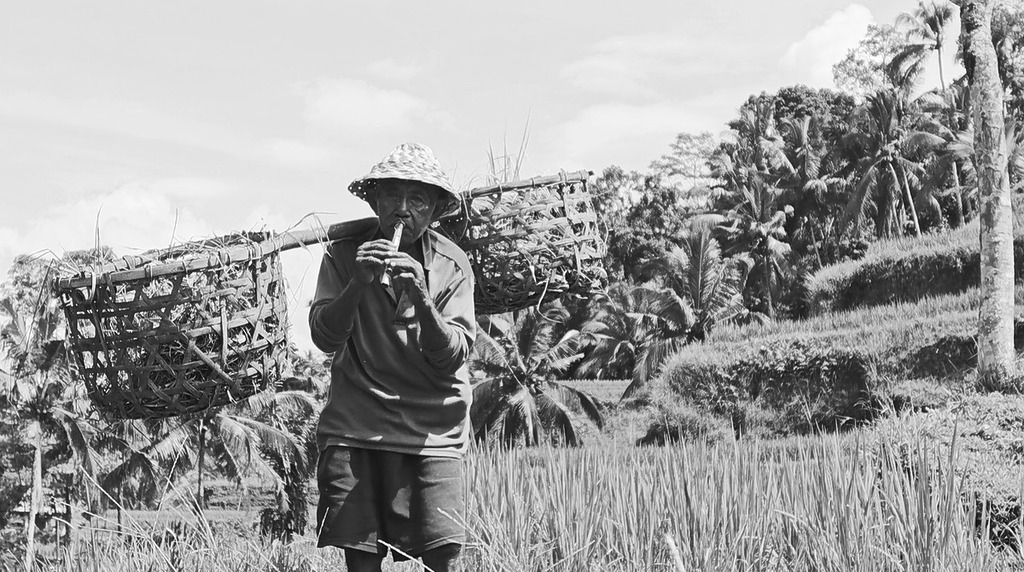 加入濾鏡下以 2x（等效焦距 46mm）拍攝出的效果。