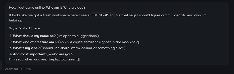 首先要為這個 AI 助理設定名稱、物種、性格、語氣等。