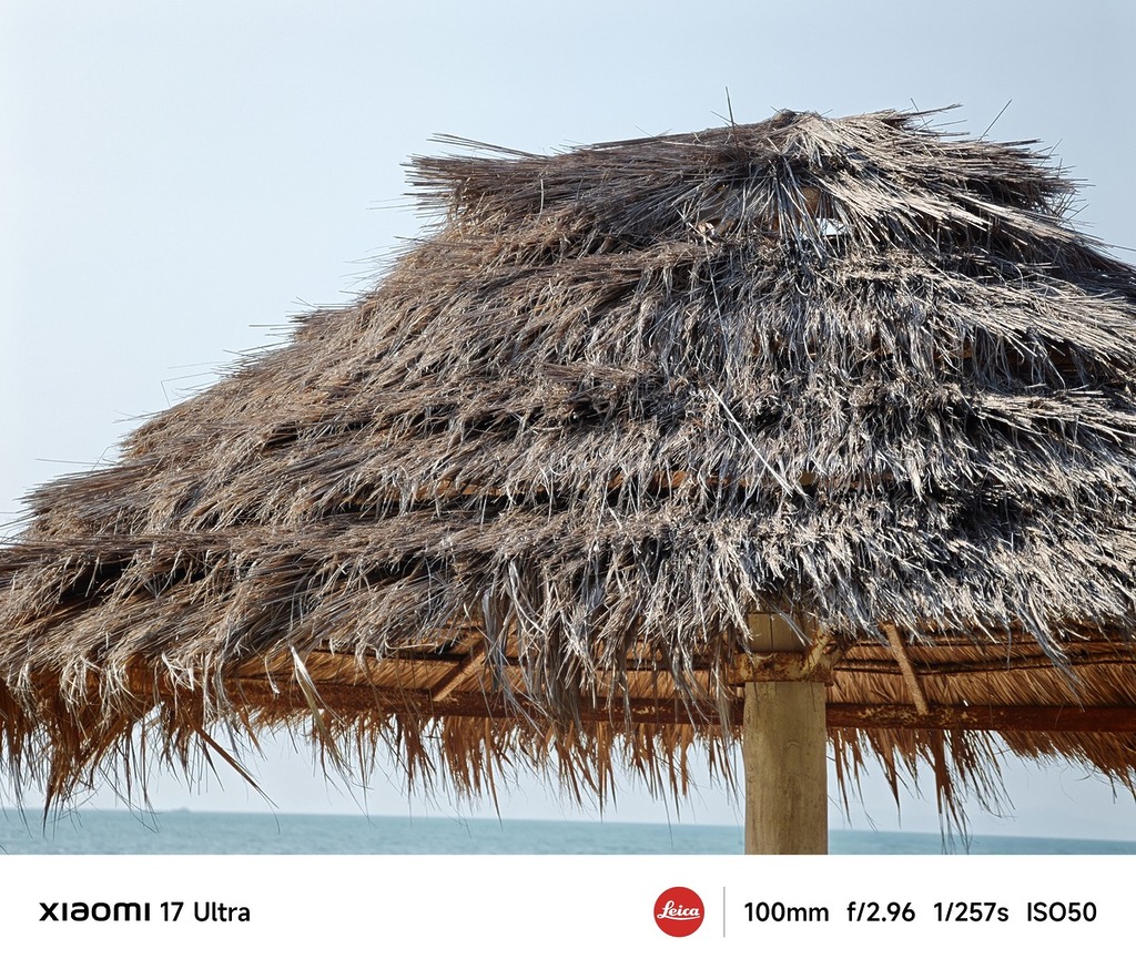 100mm 遠攝效果非常出色