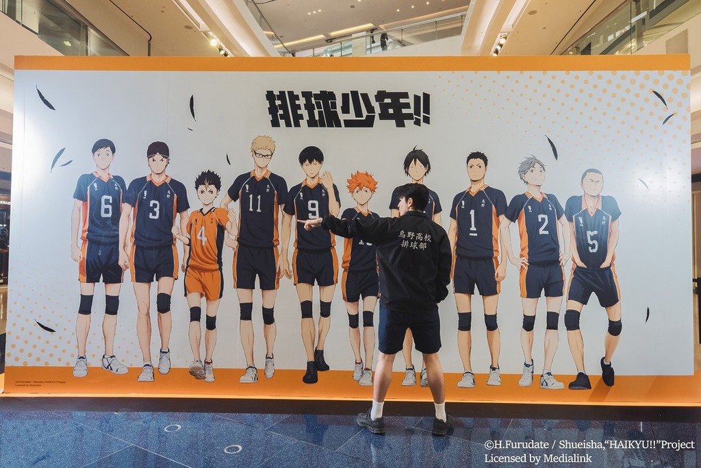 烏野高校全員大合照牆