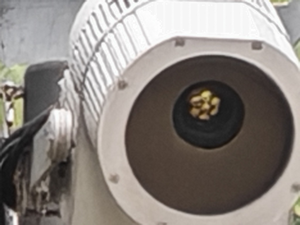 120x AI 變焦下，成像似乎有點鬆散，一些細節部分都變得模糊。