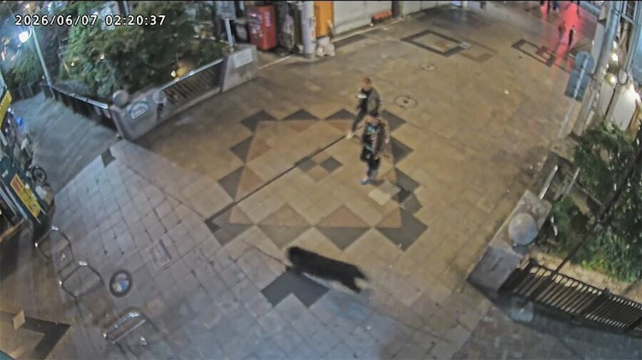 熊走入市區成為「都市熊」,而且愈來愈聰明。對市民造成威脅。